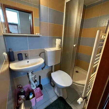 Apartament In Regim Appartement *